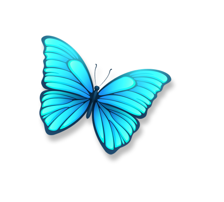 butterfly